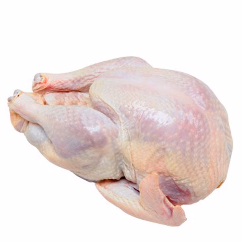 Baby Morka na objednávku 4-7kg