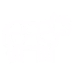 HOVÄDZIE
