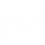 TEĽACIE