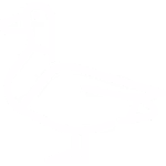 KAČACIE