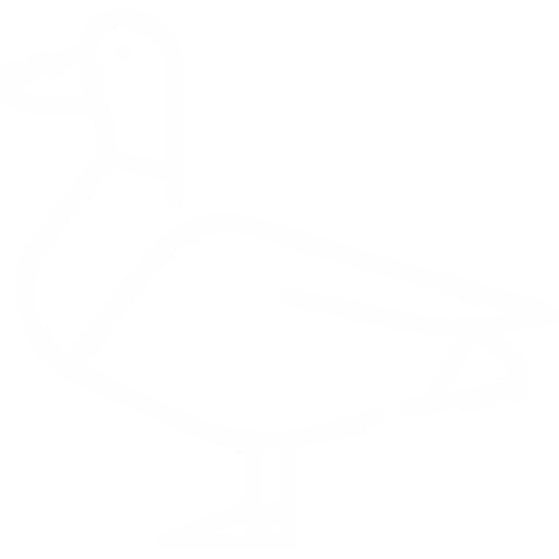 KAČACIE
