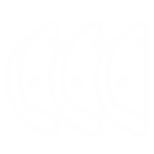 Šunky icon