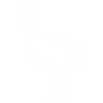 PŠTROSIE