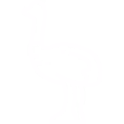 PŠTROSIE