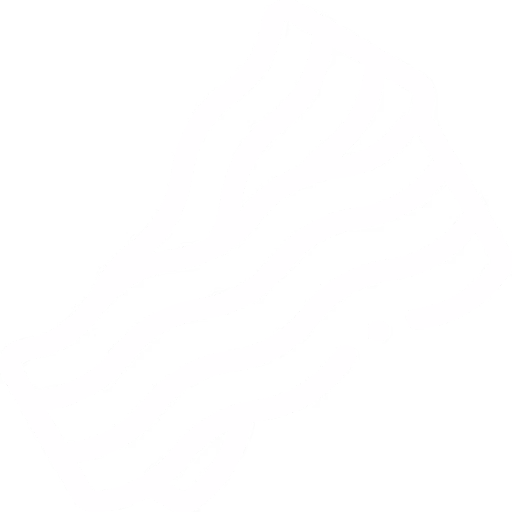 SLANINA
